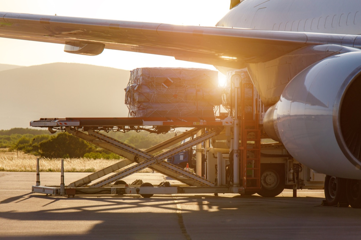 Cargo & Logistics